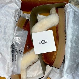 *Authentic Uggs* Brand new. Never worn